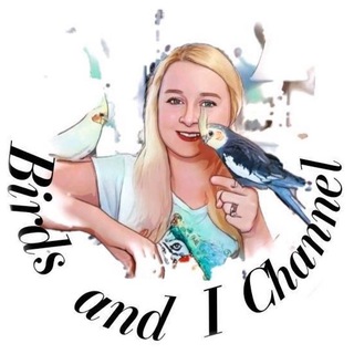 Telegram profile photo for Birds and I Chat
