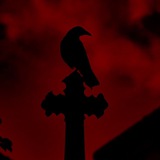 Telegram profile photo for reincarnation