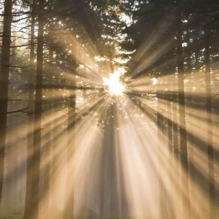 Telegram profile photo for وِصَالُ النُّور