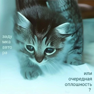 Telegram profile photo for Крис в большом городе
