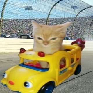 Telegram profile photo for Paddock