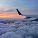 Telegram profile photo for Дорогая, мы переезжаем