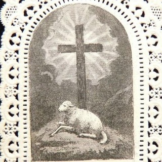 Telegram profile photo for Son of god challenges