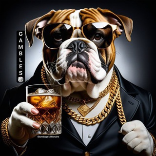 Telegram group profile photo for Slumdoge Millionaire️ Lounge 💬