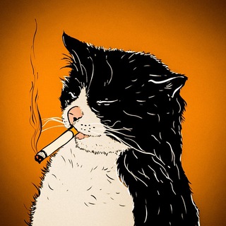Telegram profile photo for шерстяные проказники • коты