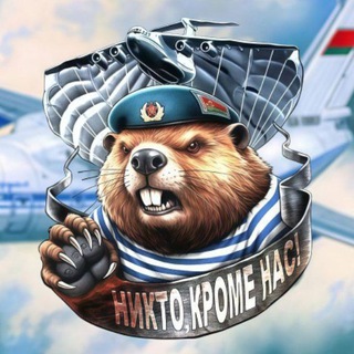 Telegram profile photo for Зенитный бастион