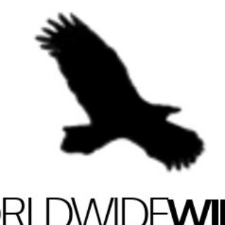 Telegram profile photo for worldwidewings