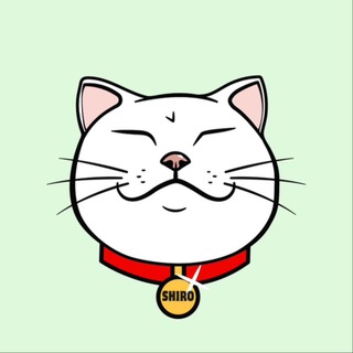 Telegram profile photo for Shiro Neko Portal