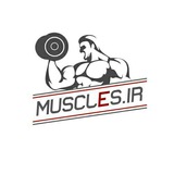 Telegram profile photo for Muscles.ir