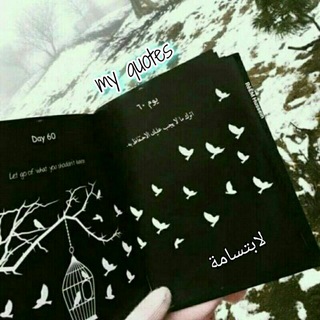 Telegram profile photo for My quotes๐๐ซ