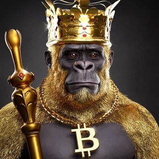 Telegram profile photo for Crypto / NFT / Airdrop