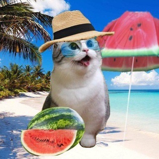 Telegram profile photo for Инфа KOMARU