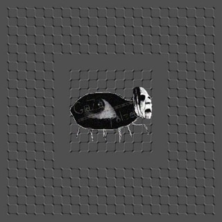 Telegram profile photo for мрачные файлы 💀