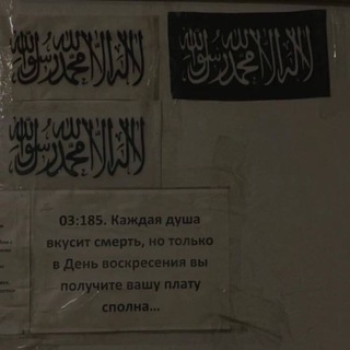 Telegram profile photo for Смягчение сердец Кур'аном🫀