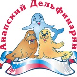 Telegram profile photo for Дельфинарий на проспекте
