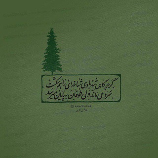 Telegram profile photo for سوایر