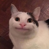 Telegram profile photo for МЫШКИ СОСИСКИ