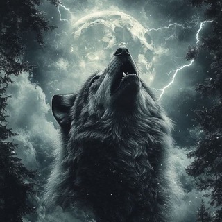 Telegram profile photo for 🌒 Wolf Pack 🌖