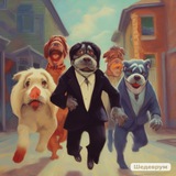 Telegram profile photo for друзья прогоняют игоря