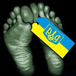 Telegram profile photo for UkraNaziTrolle Blacklist
