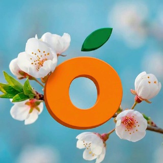 Telegram profile photo for Манго | оптово-розничный центр