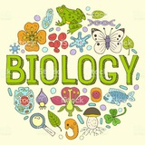 Telegram profile photo for BIOLOGIYA