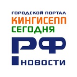 Telegram profile photo for Кингисепп-сегодня.рф - новости