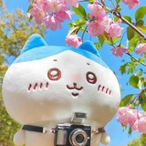 Telegram profile photo for Комишки | Rikumii