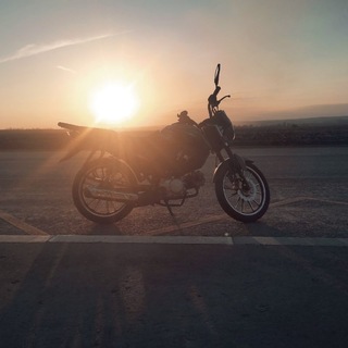 Telegram profile photo for АльфаVOд