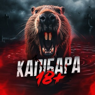 Telegram profile photo for КАПІБАРА | ПЕРЕХІДНИК