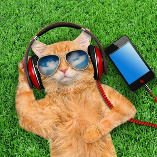 Telegram profile photo for Песни музыка 80 - 90 - 00