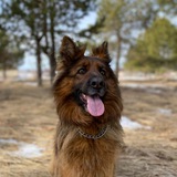 Telegram profile photo for Ты у Теи🐾