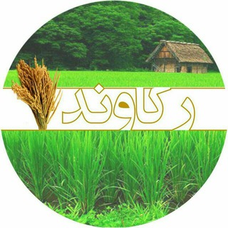 Telegram profile photo for کانال رکاوند