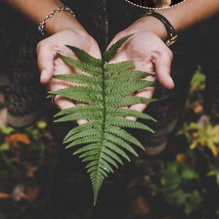 Telegram group profile photo for 🌱Spirito della Natura - cerchio di discussione🌱