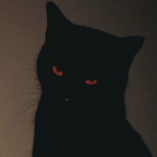 Telegram profile photo for 𝑲𝑨𝒀𝑲𝑶