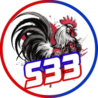 Telegram group profile photo for S33