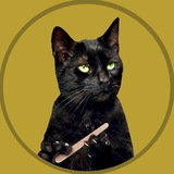 Telegram profile photo for meow (portal)