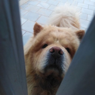 Telegram profile photo for :-)