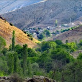 Telegram profile photo for اخبار امیرآباد