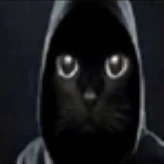 Telegram profile photo for Бар Wammu