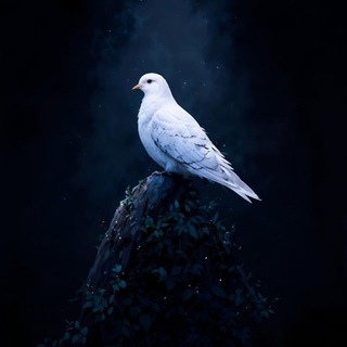 Telegram profile photo for ㅤㅤㅤㅤㅤㅤㅤㅤㅤㅤㅤㅤㅤㅤㅤㅤㅤㅤㅤㅤㅤㅤㅤㅤㅤㅤㅤㅤㅤㅤㅤㅤㅤㅤㅤㅤㅤㅤㅤㅤㅤㅤㅤㅤㅤㅤㅤㅤㅤㅤㅤㅤㅤㅤㅤㅤㅤㅤㅤㅤㅤㅤㅤㅤㅤㅤㅤㅤㅤㅤㅤㅤㅤㅤㅤㅤㅤㅤㅤㅤㅤㅤㅤㅤㅤㅤㅤㅤㅤㅤㅤㅤㅤㅤㅤㅤㅤㅤㅤㅤ
