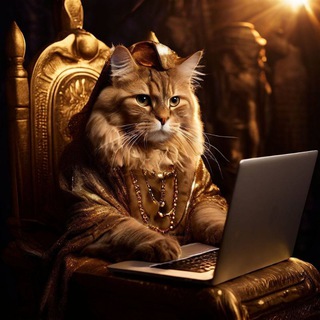 Telegram profile photo for КриптоКот ML