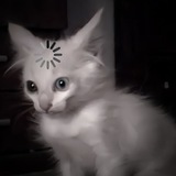 Telegram profile photo for вᴀᴧффи.ᡣ𐭩 (ушла.)