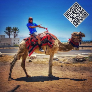 Telegram profile photo for Aventurero Proverbial 🐫🕊️