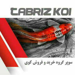 Telegram profile photo for tabriz koi 🐟