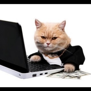 Telegram profile photo for Kitty's Calls & Market Updates