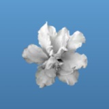 Telegram profile photo for EFHYS — ARCHIVE