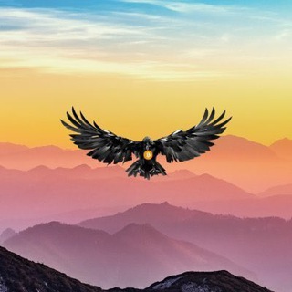 Telegram profile photo for Crypto Raven