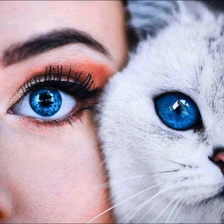 Telegram profile photo for لہٰٖيٰہٰٖتٰہٰٖـْهٰہٰٖاٰ تٰہٰٖقٰہٰٖرٰأ᪥💙