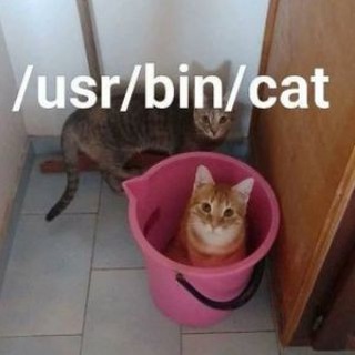Telegram profile photo for /home/saharlol
